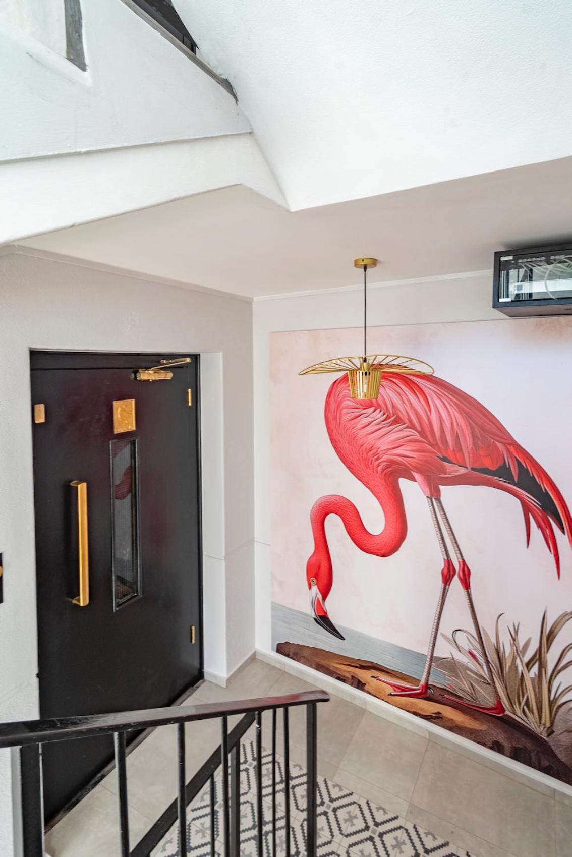 Flamingo On Hope Appartement Kaapstad