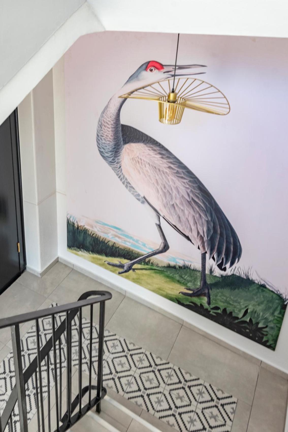 Flamingo On Hope Kaapstad